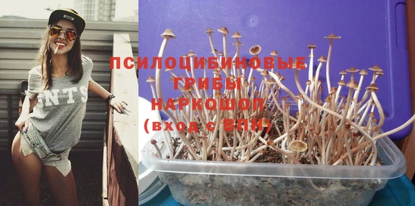 прущий лед Богородск
