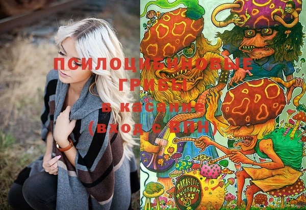mdma Богданович